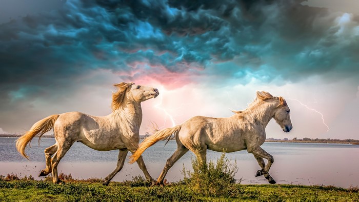 Two white horses running by a lake during a thunderstorm