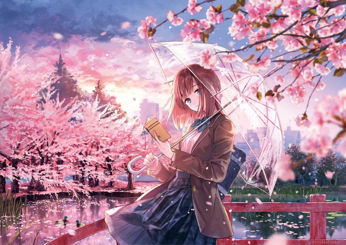 Girl with umbrella reading under cherry blossoms