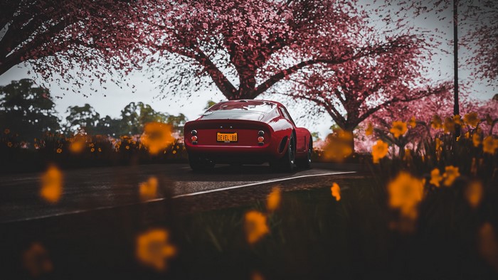 Red Ferrari 250 GTO on a road with cherry blossoms