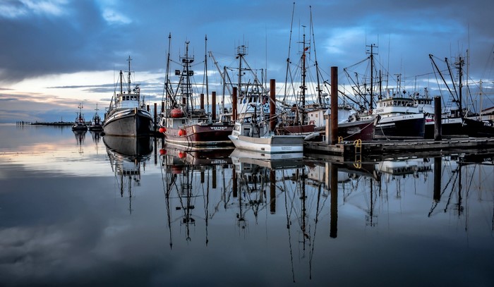 Fishing boats docked in a harbor with reflections