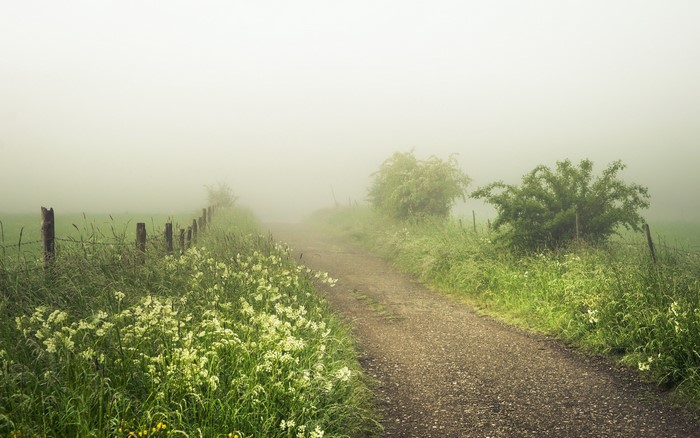 Dirt road through a misty field with a fence