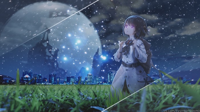Anime girl in a field under moonlight