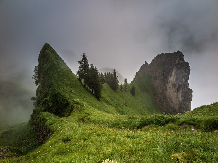 Misty mountain landscape with green slopes and trees