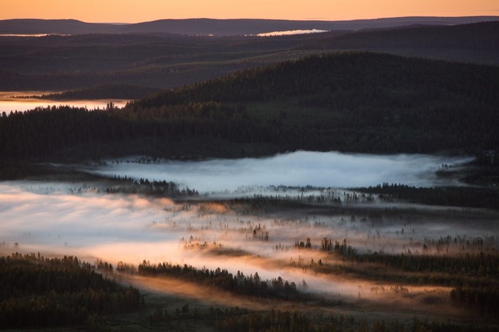 Misty forest landscape at sunrise