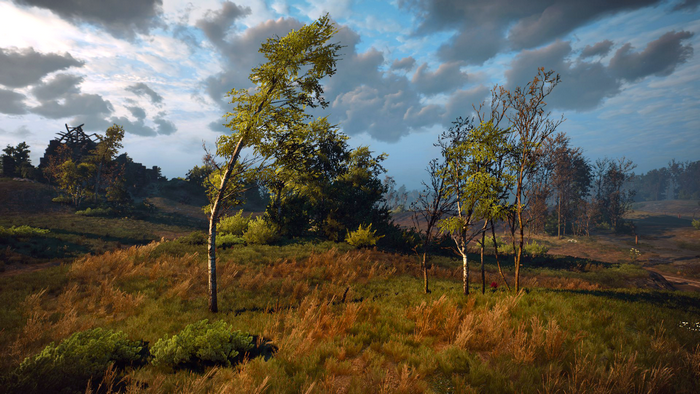 The Witcher 3: Wild Hunt screenshot