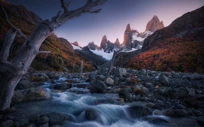 Patagonia landscape with mountains, river, and dead trees