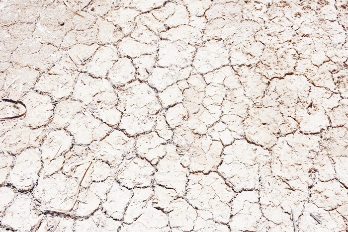 Cracked dry earth texture with sparse vegetation