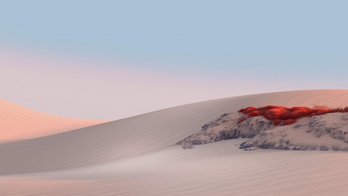 Desert dunes with red grass on rocks