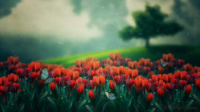 Field of tulips with butterflies and a tree
