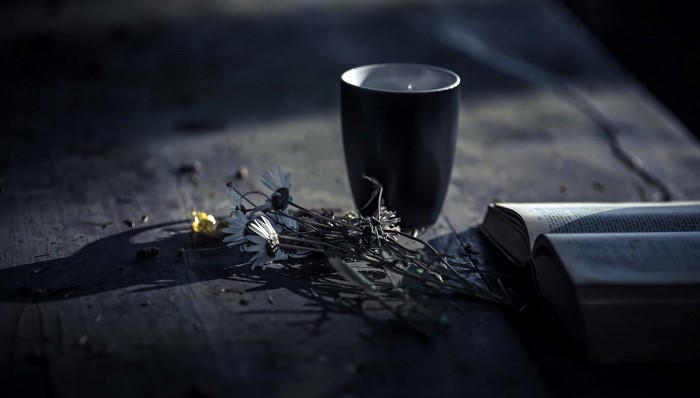 Dark still life with cup, flowers, and open book