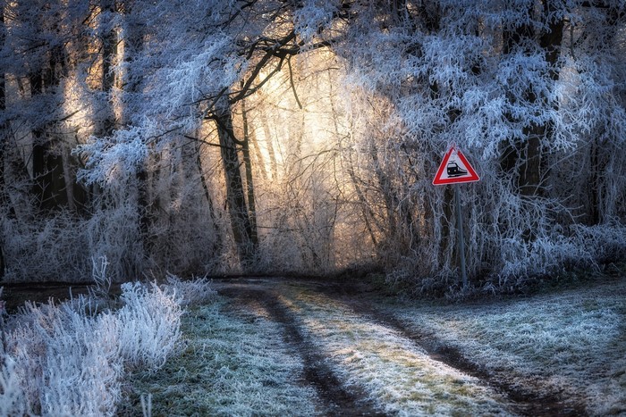Frosty forest road with a train crossing sign