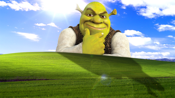 Shrek from Dreamworks movies