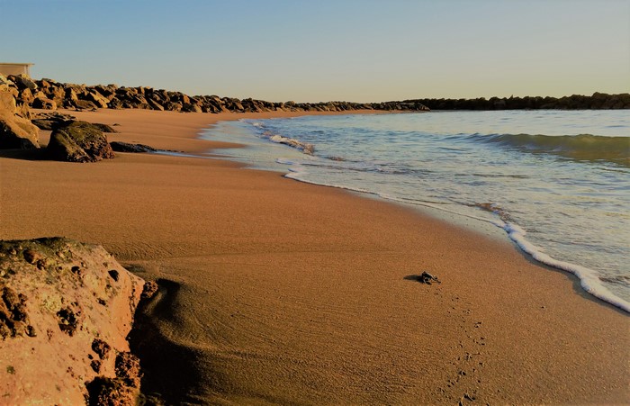Beach with rocks and waves in Santa Severa, Italy