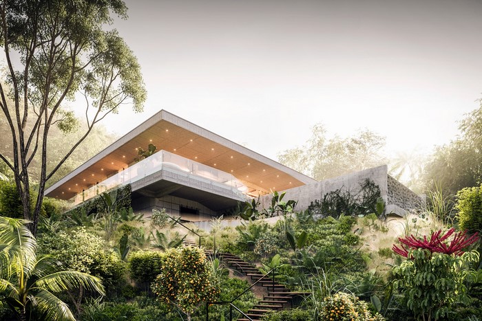 Modern house nestled in a lush, green forest