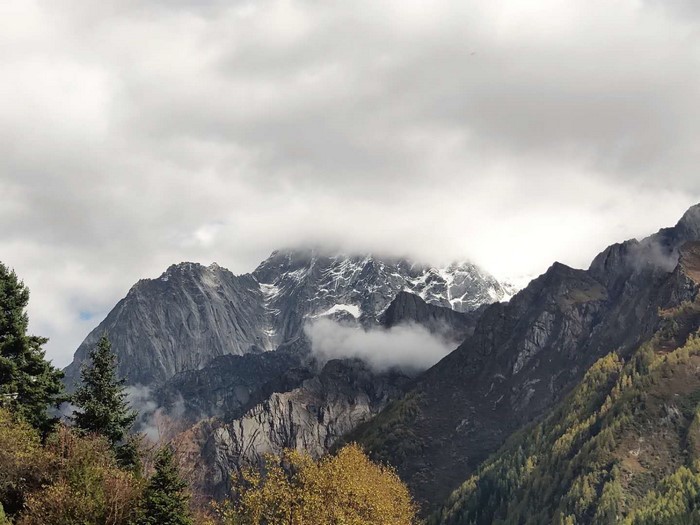 Snow-capped mountains shrouded in clouds with trees in the foreground