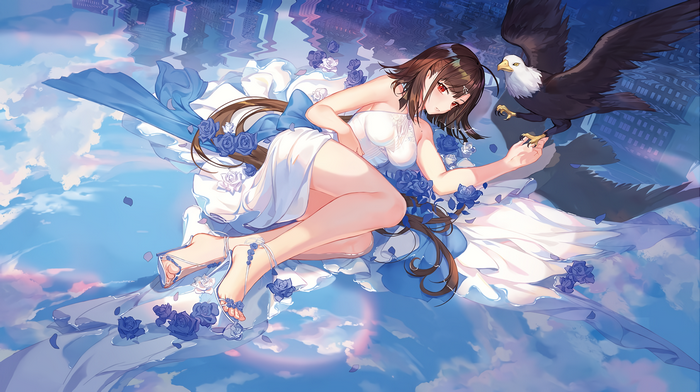 Independence from Azur Lane with an eagle