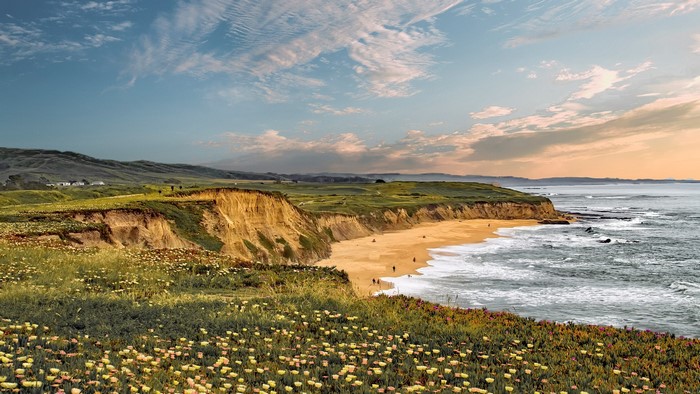 Coastal cliffs with flowers overlooking the Pacific Ocean at sunset