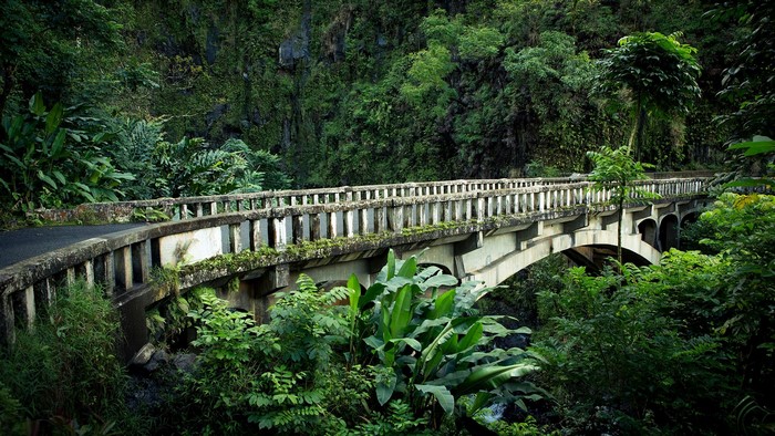Old concrete bridge overgrown with moss in a Hawaiian rainforest