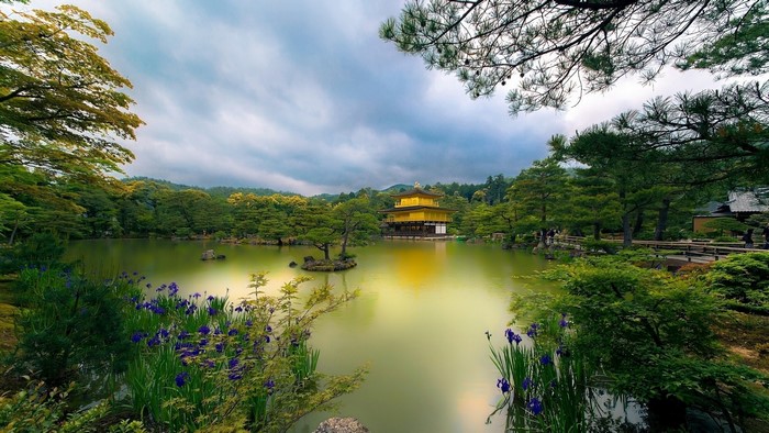 Golden Pavilion reflected in a pond with flowers and trees