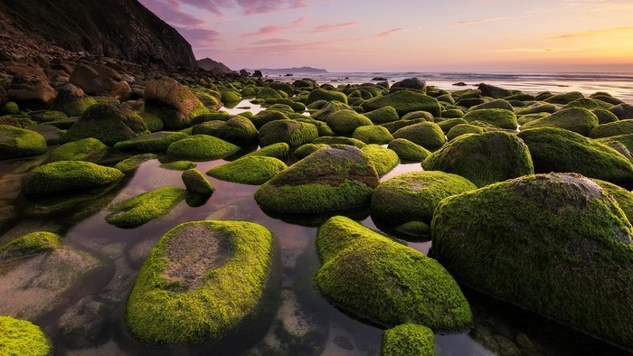 Mossy rocks on a beach at sunset in Galicia, Spain