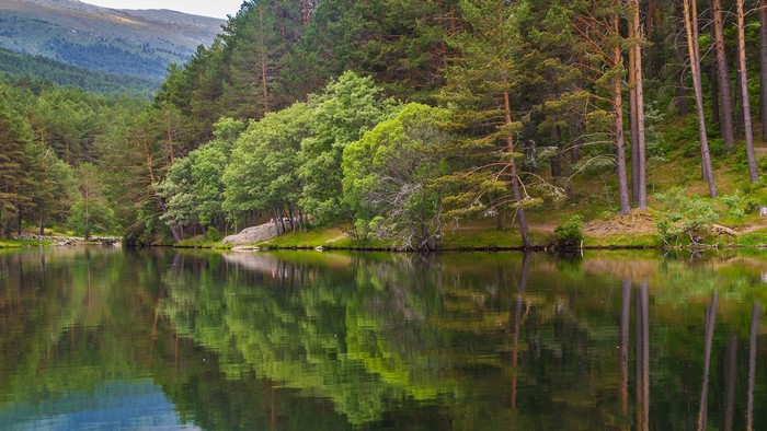 Lake and forest landscape in Corinthia, Greece
