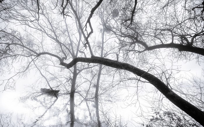 Monochrome boat in misty water with bare trees
