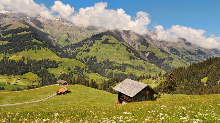 4K Mountain Landscape with Alpine Village and Wildflowers