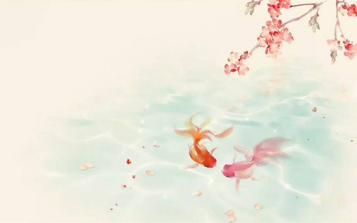 Two goldfish swimming in water with cherry blossoms