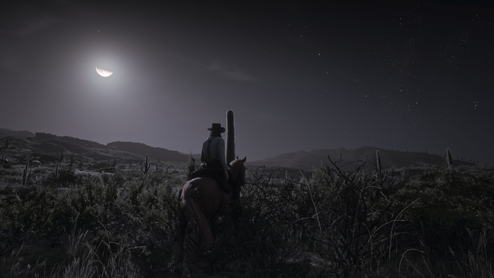 Red Dead Redemption 2 screenshot of a cowboy on horseback at night