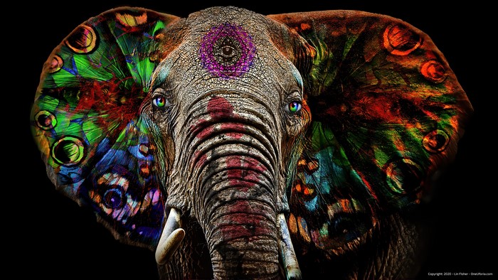 4K Surreal Spiritual Elephant