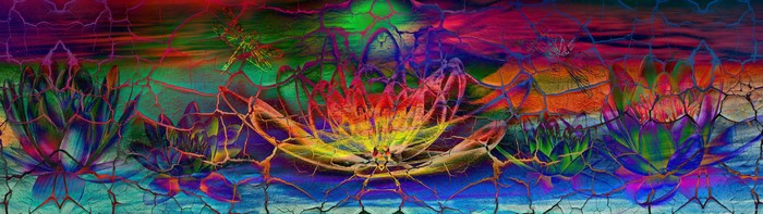 4K Metaphysical Lotus Flowers with Dragonfly