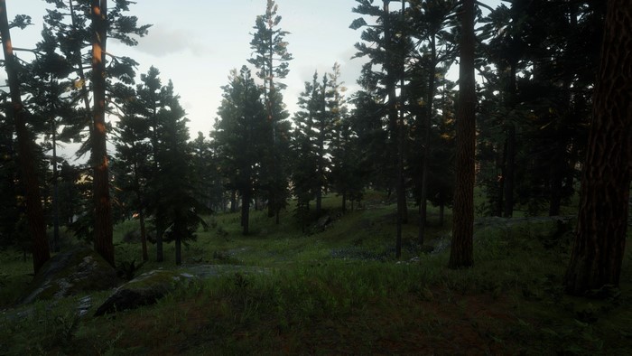 Red Dead Redemption 2 forest scene