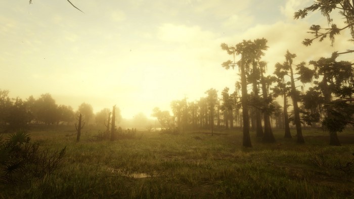 Red Dead Redemption 2 video game screenshot