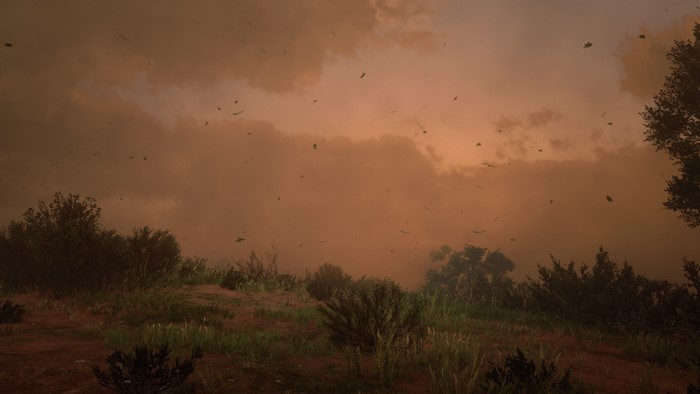 Dust storm in Red Dead Redemption 2