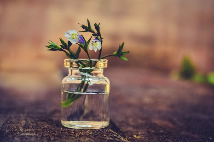 Small flowers in a glass jar on wood