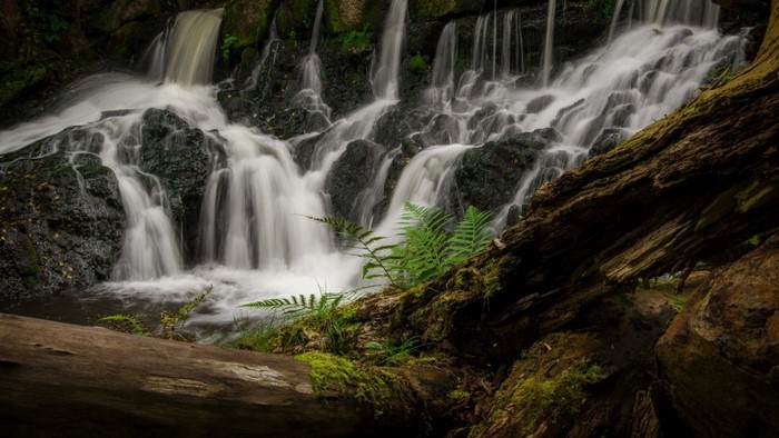 Waterfall cascading over moss-covered rocks with ferns and fallen logs