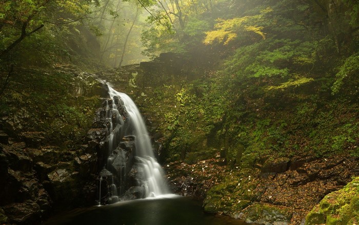 Waterfall cascading down mossy rocks in a misty forest