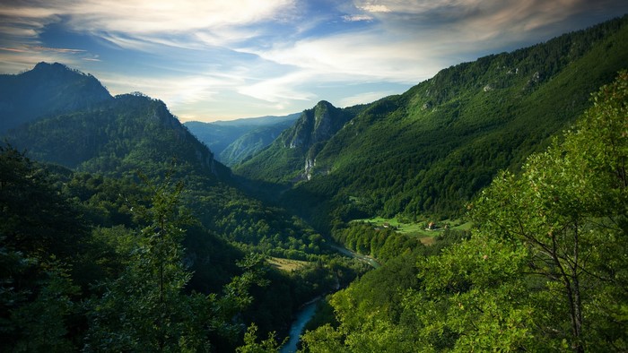 Tara River Canyon, Montenegro, with mountains and forest