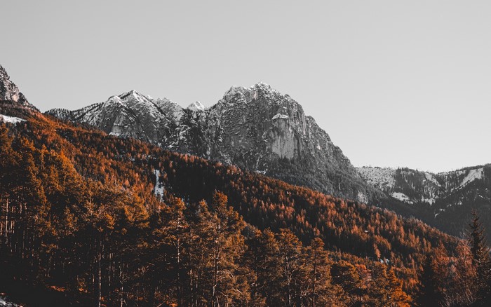4K landscape of mountains and trees