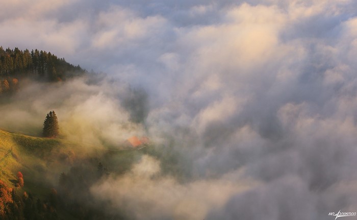 Misty mountain landscape with trees and a house