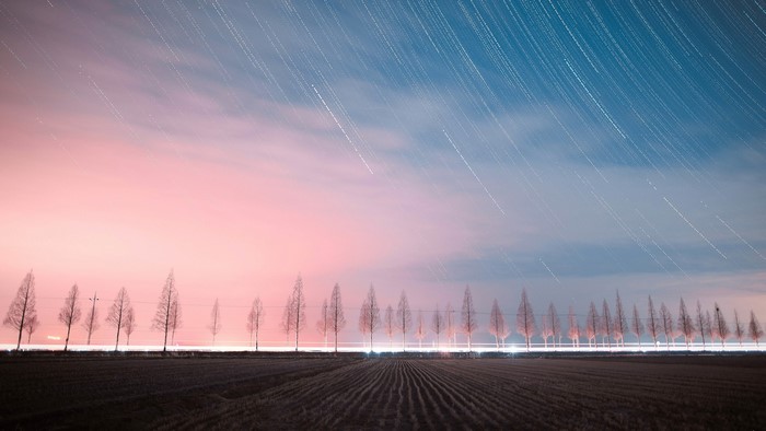 Star trails over a field with trees and power lines