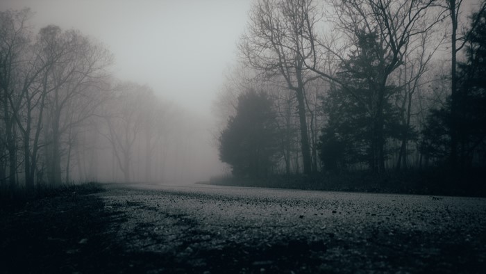Gloomy forest road in mist