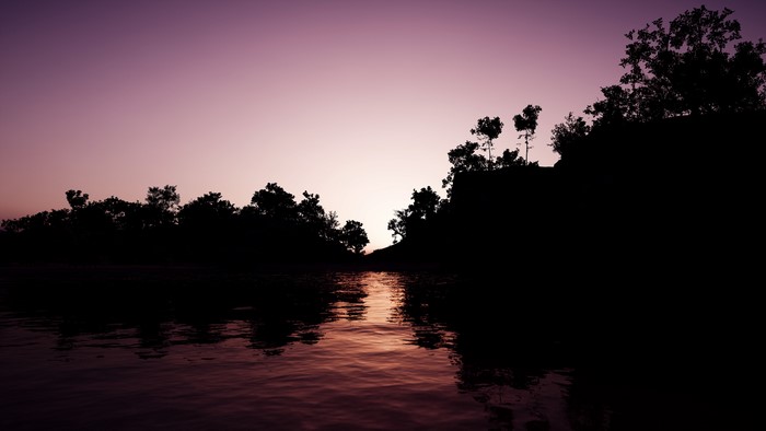 Sunset over water with silhouetted trees