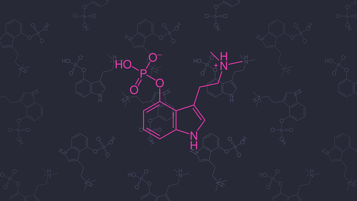 Psilocybin Molecular Model 4K
