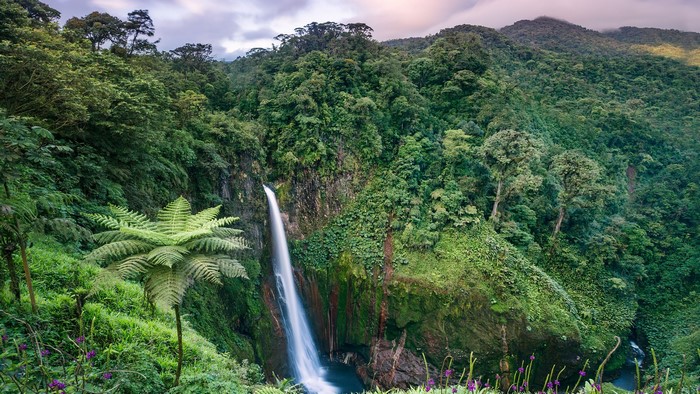 Waterfall in a tropical forest in Costa Rica