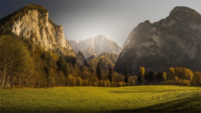 Mountains and trees in a valley
