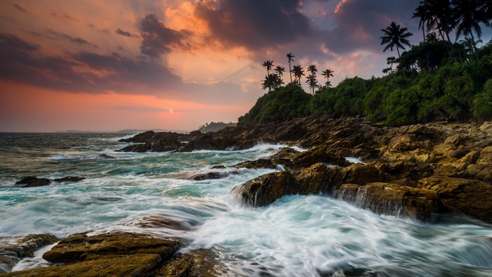 Sunset over rocky coast with palm trees in Sri Lanka