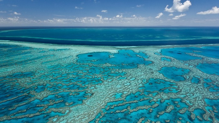 Great Barrier Reef, Australia