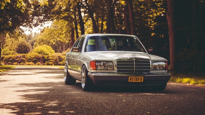 White Mercedes-Benz S Class on a Tree-Lined Road