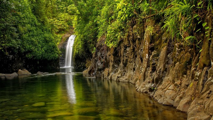 Wainibau Falls in a tropical forest, Fiji